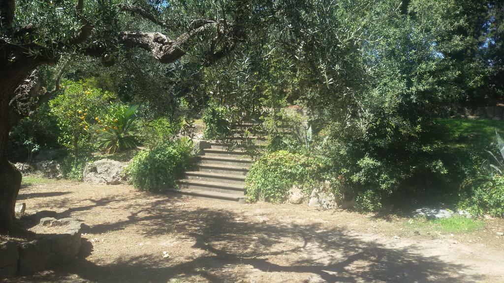 La Dolce Casetta Grottaferrata Ngoại thất bức ảnh