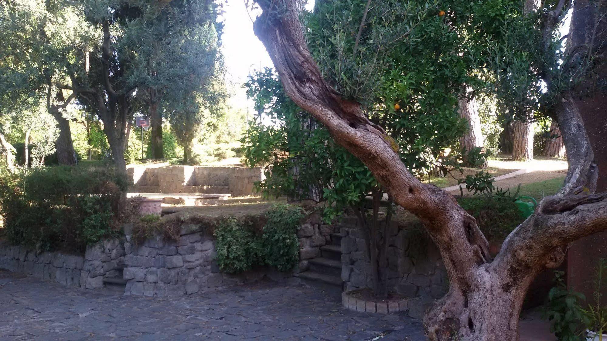 La Dolce Casetta Grottaferrata Ngoại thất bức ảnh